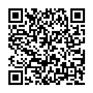 那被称为掌门的老者眯着眼扫了我和乾老道一眼二维码生成