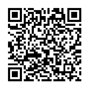 那被莫小七命名为小蝠的飞天遁地蝠似乎有一些特殊的本事二维码生成