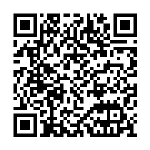那被鬼王一镰刀劈中的伤口直到现在也没能愈合二维码生成