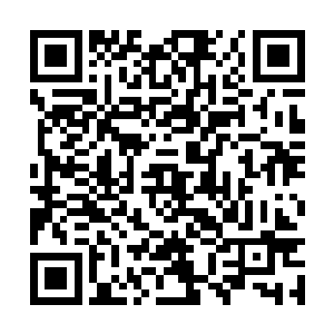 那西海龙王敖闰正与一众龙子龙孙在大殿之中议事二维码生成