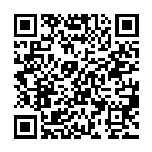 那让得大帝和夫子的本尊不得不回到轩辕界进行防守二维码生成