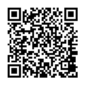 那让所有商修者陷入死机的两种并肩的能量下方二维码生成
