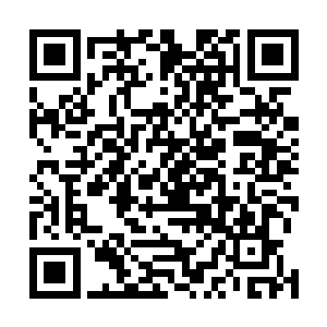 那许浩量才会断定许家的那十个弟子是向着无尽森林而去二维码生成