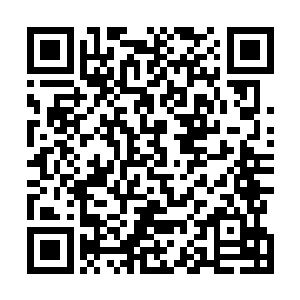 那许紫烟此时来到聚仙城应该就是为了这次拍卖大会而来二维码生成
