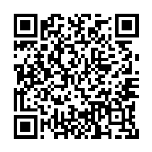 那说明悬崖顶端并没有值得忌惮的顶尖战力驻守二维码生成