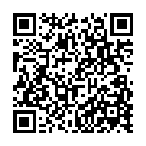 那谁和师丝桐的蜜汁对视是要搞事情还是又是熟人啊二维码生成