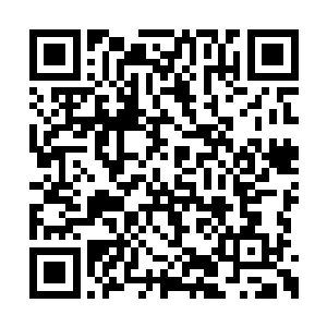 那谢学员出去看到是纳甲土尸在胡乱跳舞的时候二维码生成