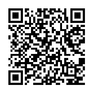 那贯穿天地的铁索已然在这寒光之下荡尽了所有二维码生成