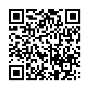 那贴地飞行来的人影将身型硬生生停在离百二维码生成