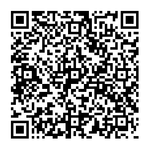 那走动的姿势犹如一个优雅端庄的皇妃走下宫殿里的台阶……她就用这种令人匪夷所思的方式二维码生成