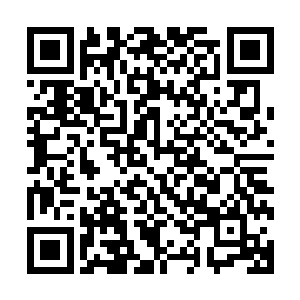 那走在最前面的单兵机动装甲已经吸引了他们的所有的注意力二维码生成