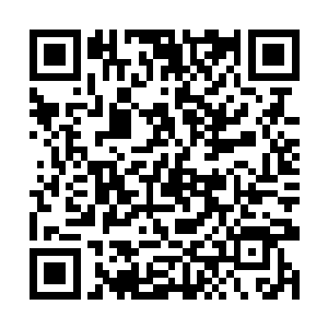 那赵纯良和神圣联盟也就没有后面那么多的幺蛾子了二维码生成