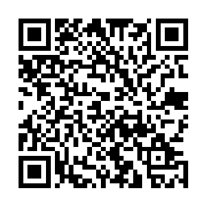 那超市里的鸡蛋就是放在母鸡屁股下一辈子也都孵化不出来二维码生成