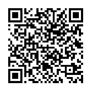那超高的口碑几乎是以狂风扫落叶之势席卷了电影市场二维码生成