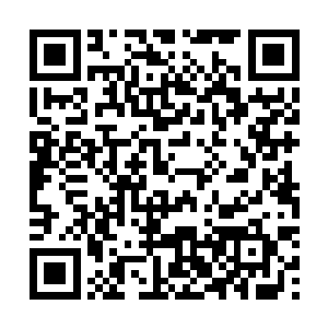 那足有八十多米高大的城墙上已经站满了神情严肃的士兵二维码生成