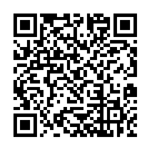 那身为他的儿子是不是就可以沾沾光将那些都免了呢二维码生成