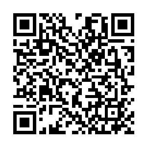 那身修为没有吞噬上百个人的精血气魄是不可能达到的二维码生成