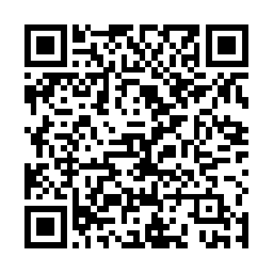 那身形瘦削的研究员原本对同伴的话还有些半信半疑的二维码生成