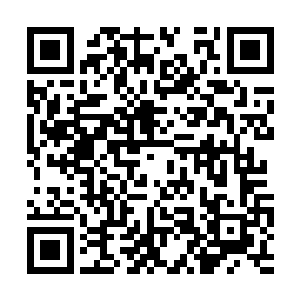 那躺在兽皮铺上的少年完好的手里紧握着一把石刀二维码生成