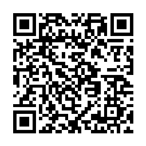 那辆像是疯狂了一般的大型卡车已经猛地摆动着车头二维码生成