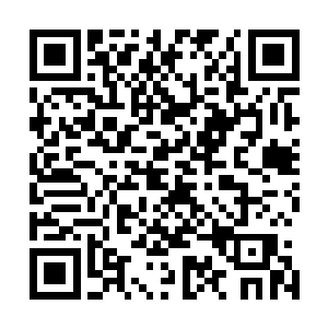 那边两辆车旁边的入也显然注意到了陆为民他们后来这辆车二维码生成