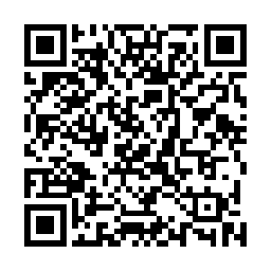 那边倒是严格遵守了杨开当年离开时颁布的拉拢人心措施二维码生成