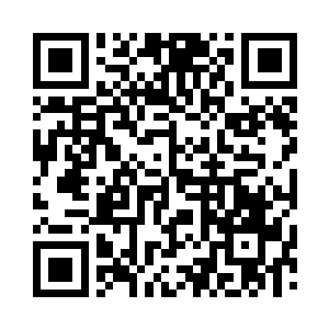 那边可不是我和姗姗姐制作的小型天道空间二维码生成