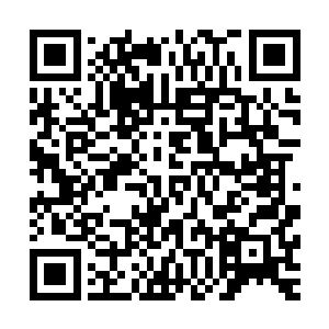 那边同样被吓得有点发愣的烧烤店老板父女俩也微微回了回神二维码生成