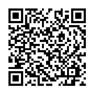 那边扔出了一个几乎所有女演员都拒绝不了的角色二维码生成