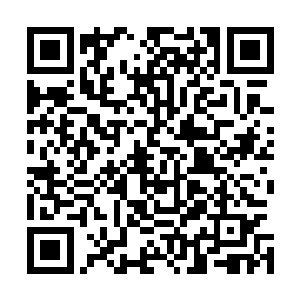 那边是必须要每隔一段时间给这个新阵法增加能量供给……二维码生成