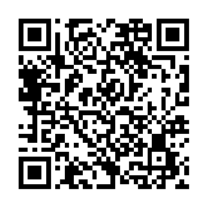 那边有人从她家里拎了已经被杀了野兔子和野山鸡出来二维码生成