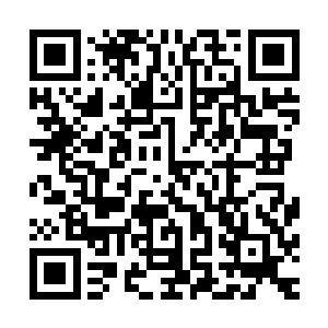 那边正在凝聚螺旋手里剑的分身看见一名分身弄出这么多分身二维码生成