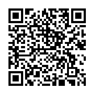 那边的小奶娃情况就算再怎么不好也至少还能坚持好几个月二维码生成