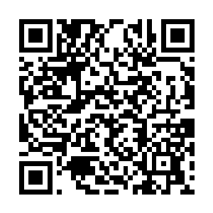 那边的树木上正接连不断的朝下方爬着一些伏叶虫二维码生成