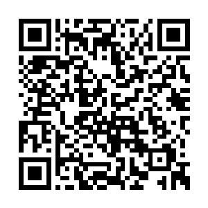 那边的螳刀族一轮刀阵攻击也灭杀了几万矮人族二维码生成