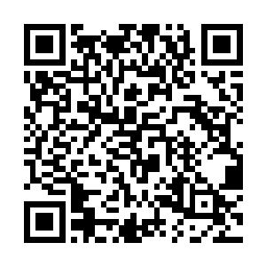 那边的龙熙帝已在王公大臣面前激昂兴奋的演讲起来二维码生成