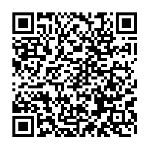 那边裴家的四位武帝强者明显也是感受到了神葬修罗那恐怖的滔天凶焰了二维码生成