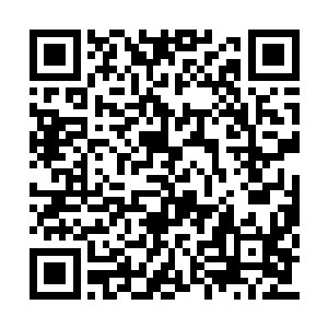 那边郑美人已经隔了车帘子朝外扔出去许多馒头二维码生成