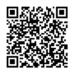 那迅速变大的八根尾巴根根都带着强烈的蕴含杀意的水系仙术二维码生成