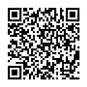 那还不是一件容易的事情・只要等到她离开炼器城就可以了二维码生成