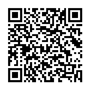 那还没有完全舒展的小龙也是发出了这样的龙吟声二维码生成