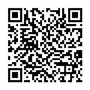 那这个焚骨之地也猜到你是这里最特殊的那个人了二维码生成