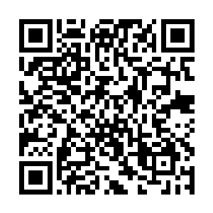 那这挡在刘士伟和摄像机之间的那位是不是也是帮凶二维码生成