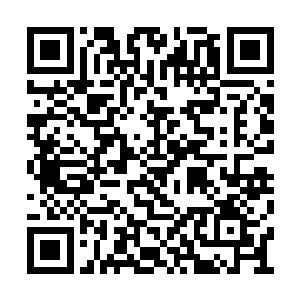 那这种五十米高的巨人和黑地野人又有什么关系二维码生成