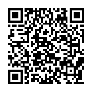 那这还真太始在这里留下自己的传承因该为真了二维码生成