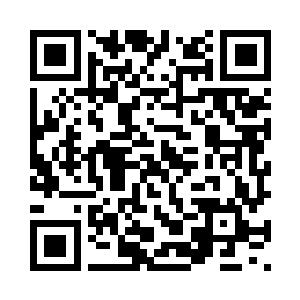 那这金飞燕是靠什么来维持飞行的二维码生成