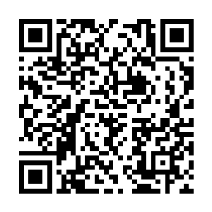 那这雕像身上所散发出来的气息则是让得秦宇心悸二维码生成
