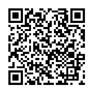 那远在院中的一颗碗口粗的梨树竟然啪的一声从中爆裂二维码生成