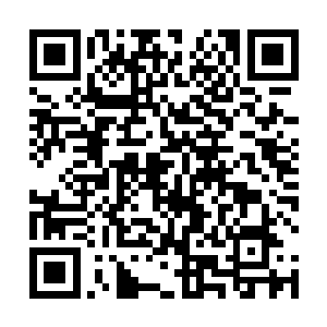 那远处九头虫幻化而成的巨兽还在与无数的僧侣纠缠着二维码生成