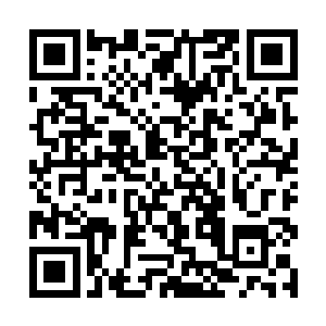 那连老牛都弄不下来的面具便是脱落在了阎军的手上二维码生成